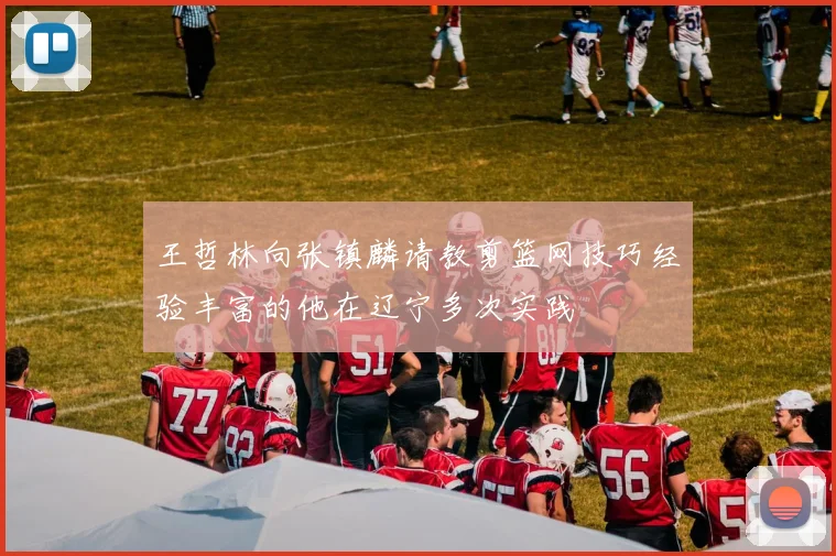 王哲林向张镇麟请教剪篮网技巧经验丰富的他在辽宁多次实践