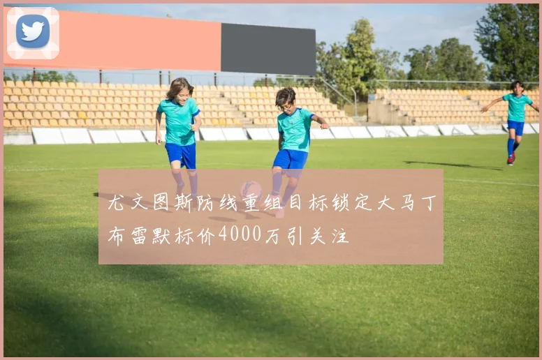 尤文图斯防线重组目标锁定大马丁布雷默标价4000万引关注