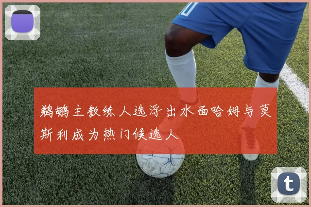 鹈鹕主教练人选浮出水面哈姆与莫斯利成为热门候选人