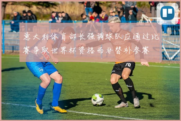 意大利体育部长强调球队应通过比赛争取世界杯资格而非替补参赛