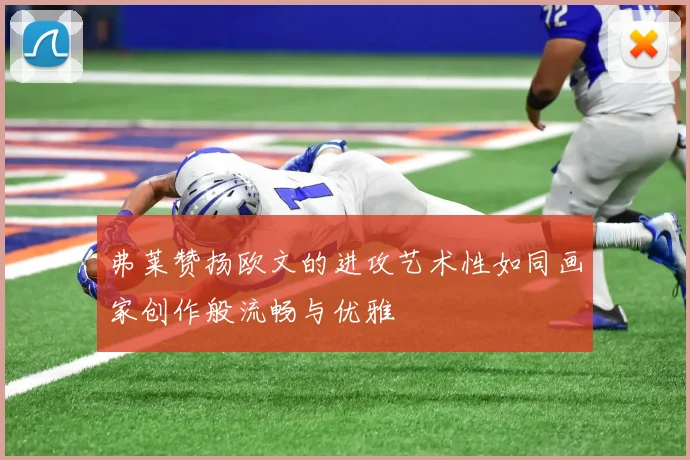 弗莱赞扬欧文的进攻艺术性如同画家创作般流畅与优雅